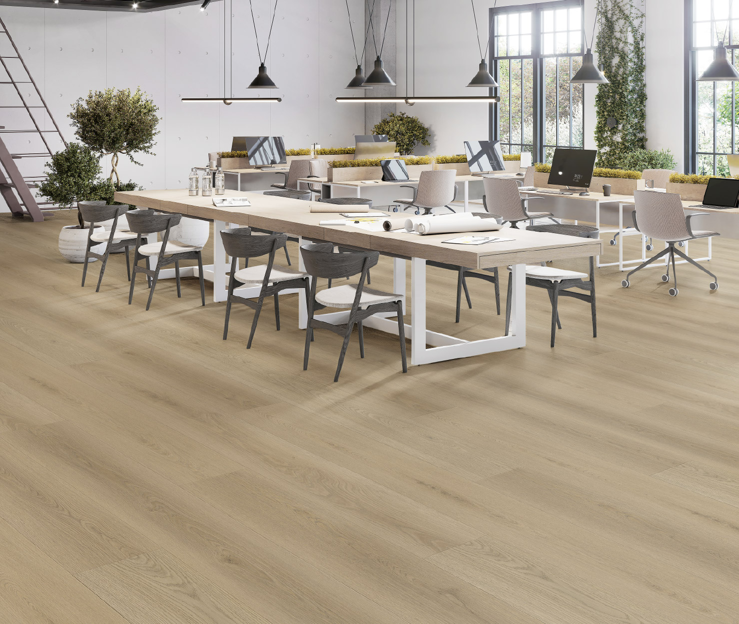 Luxora Collection 355x300-01-01